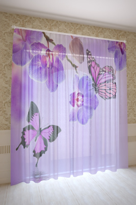 0ba550b5-bad9-4c73-b34a-b9c253e607e8