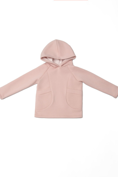 447aafe6-3e78-48b9-8229-7722ce058a23